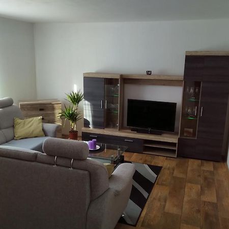 Апартаменты Apartman Pod Rickami Рокитнице-в-Орлицких-горах Экстерьер фото