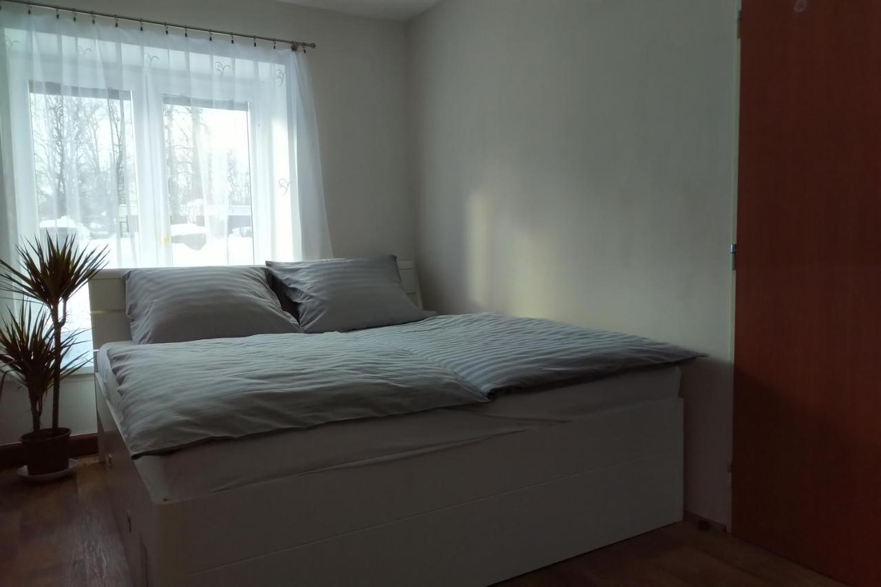 Апартаменты Apartman Pod Rickami Рокитнице-в-Орлицких-горах Экстерьер фото