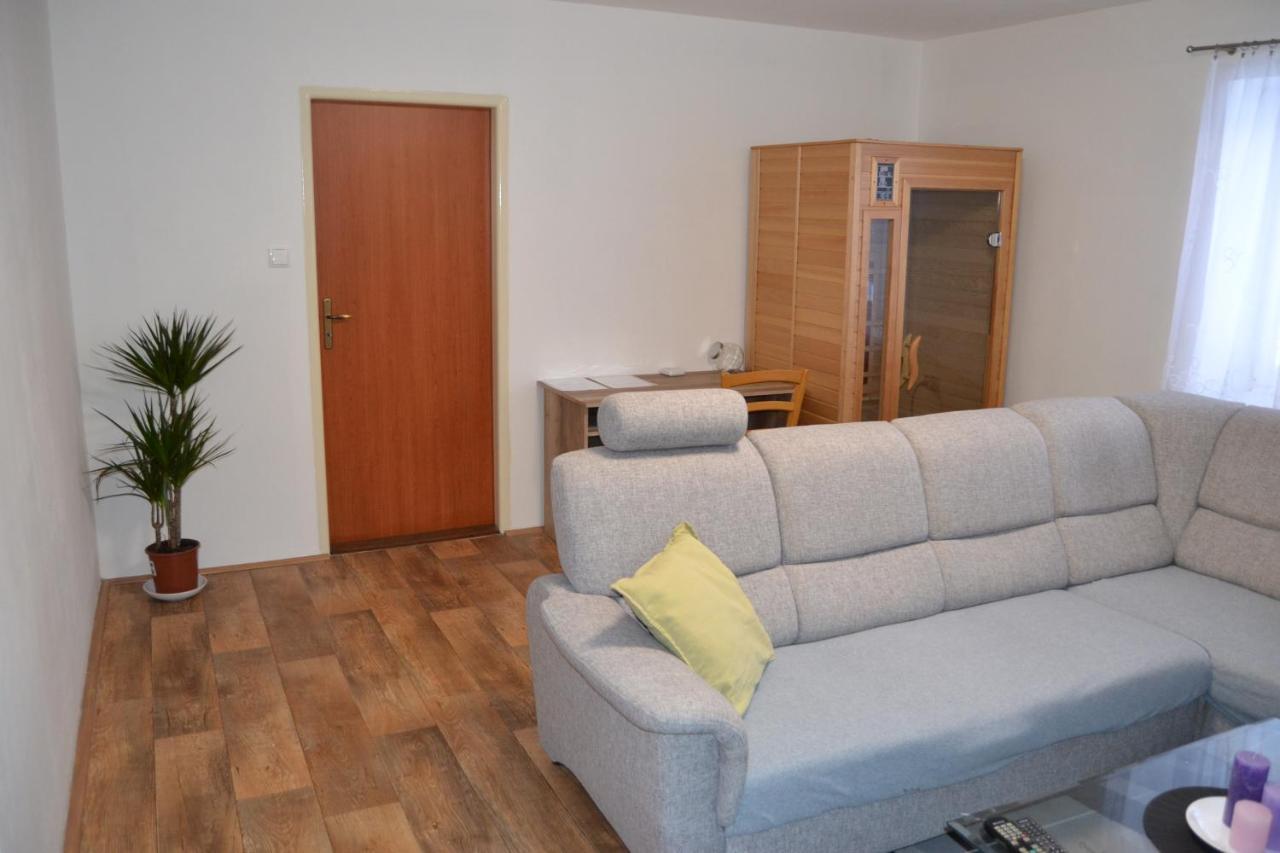 Апартаменты Apartman Pod Rickami Рокитнице-в-Орлицких-горах Экстерьер фото